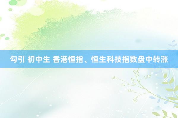 勾引 初中生 香港恒指、恒生科技指数盘中转涨