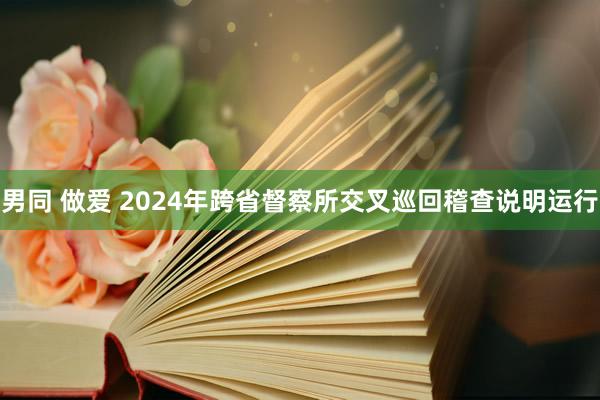 男同 做爱 2024年跨省督察所交叉巡回稽查说明运行