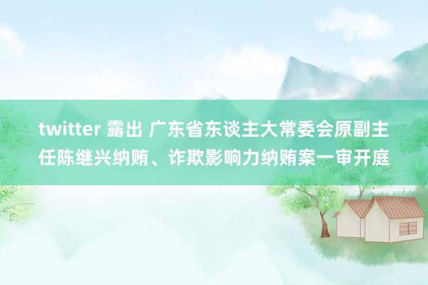 twitter 露出 广东省东谈主大常委会原副主任陈继兴纳贿、诈欺影响力纳贿案一审开庭