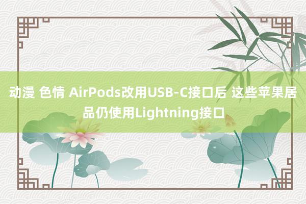 动漫 色情 AirPods改用USB-C接口后 这些苹果居品仍使用Lightning接口