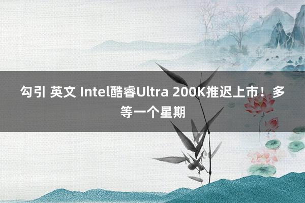 勾引 英文 Intel酷睿Ultra 200K推迟上市！多等一个星期