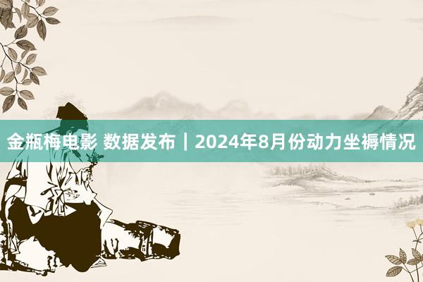 金瓶梅电影 数据发布｜2024年8月份动力坐褥情况