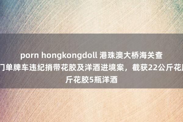 porn hongkongdoll 港珠澳大桥海关查获一齐澳门单牌车违纪捎带花胶及洋酒进境案，截获22公斤花胶5瓶洋酒