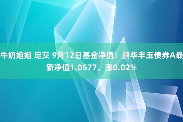 牛奶姐姐 足交 9月12日基金净值：鹏华丰玉债券A最新净值1.0577，涨0.02%