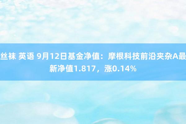 丝袜 英语 9月12日基金净值：摩根科技前沿夹杂A最新净值1.817，涨0.14%