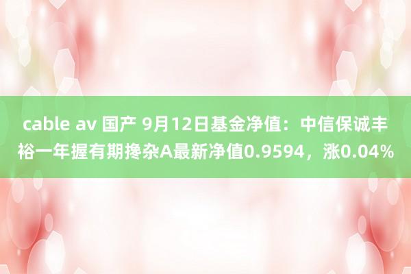 cable av 国产 9月12日基金净值：中信保诚丰裕一年握有期搀杂A最新净值0.9594，涨0.04%