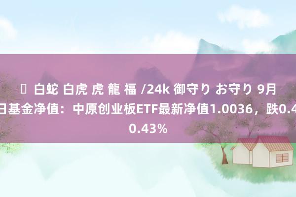 ✨白蛇 白虎 虎 龍 福 /24k 御守り お守り 9月12日基金净值：中原创业板ETF最新净值1.0036，跌0.43%