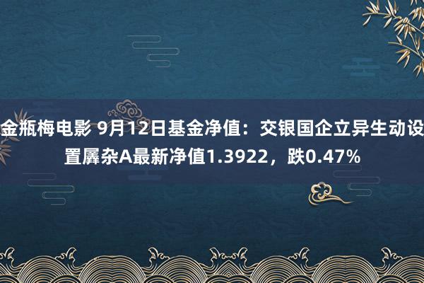 金瓶梅电影 9月12日基金净值：交银国企立异生动设置羼杂A最新净值1.3922，跌0.47%