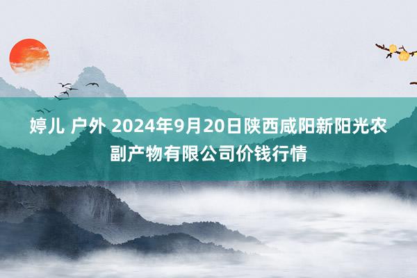 婷儿 户外 2024年9月20日陕西咸阳新阳光农副产物有限公司价钱行情