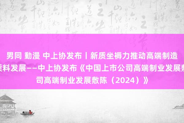 男同 動漫 中上协发布丨新质坐褥力推动高端制造业上市公司高质料发展——中上协发布《中国上市公司高端制业发展敷陈（2024）》