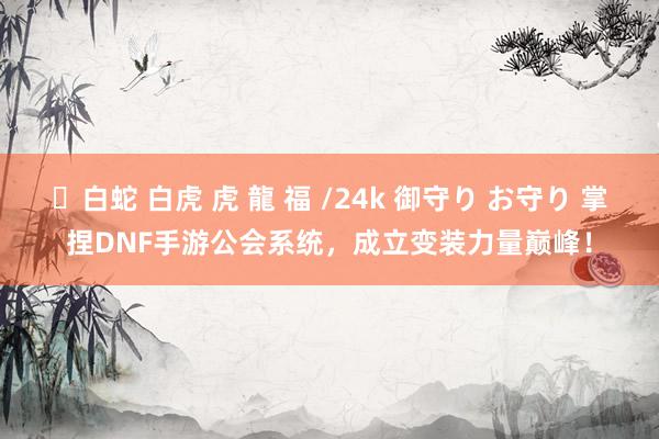 ✨白蛇 白虎 虎 龍 福 /24k 御守り お守り 掌捏DNF手游公会系统，成立变装力量巅峰！