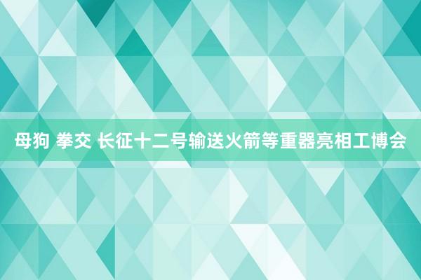 母狗 拳交 长征十二号输送火箭等重器亮相工博会