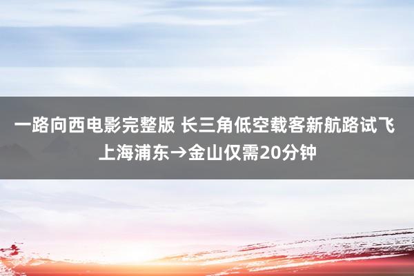 一路向西电影完整版 长三角低空载客新航路试飞 上海浦东→金山仅需20分钟