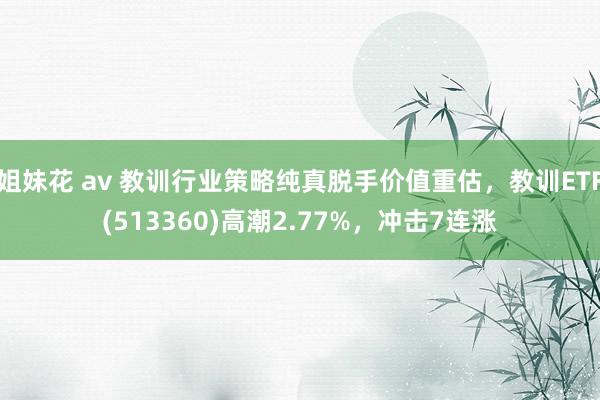 姐妹花 av 教训行业策略纯真脱手价值重估，教训ETF(513360)高潮2.77%，冲击7连涨