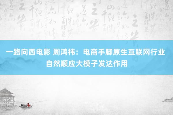 一路向西电影 周鸿祎：电商手脚原生互联网行业 自然顺应大模子发达作用