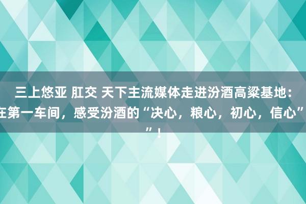 三上悠亚 肛交 天下主流媒体走进汾酒高粱基地：在第一车间，感受汾酒的“决心，粮心，初心，信心”！