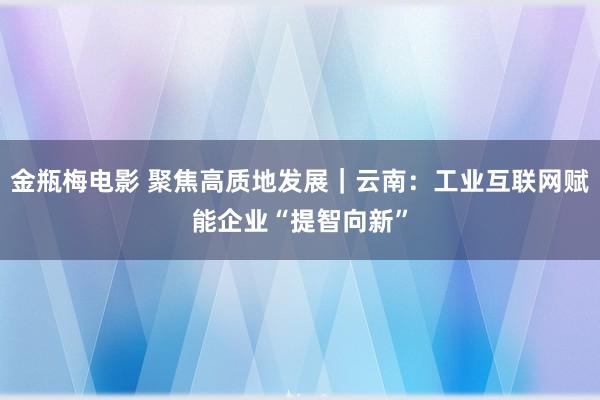 金瓶梅电影 聚焦高质地发展｜云南：工业互联网赋能企业“提智向新”