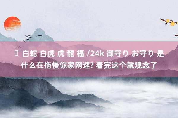 ✨白蛇 白虎 虎 龍 福 /24k 御守り お守り 是什么在拖慢你家网速? 看完这个就观念了