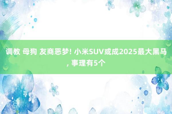 调教 母狗 友商恶梦! 小米SUV或成2025最大黑马， 事理有5个