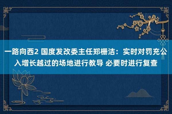 一路向西2 国度发改委主任郑栅洁：实时对罚充公入增长越过的场地进行教导 必要时进行复查