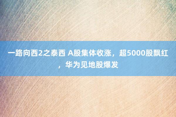 一路向西2之泰西 A股集体收涨，超5000股飘红，华为见地股爆发