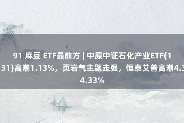 91 麻豆 ETF最前方 | 中原中证石化产业ETF(159731)高潮1.13%，页岩气主题走强，恒泰艾普高潮4.33%