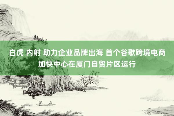 白虎 内射 助力企业品牌出海 首个谷歌跨境电商加快中心在厦门自贸片区运行