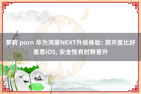 萝莉 porn 华为鸿蒙NEXT升级体验: 洞开度比好意思iOS, 安全性有时弊晋升