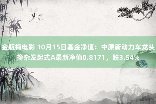 金瓶梅电影 10月15日基金净值：中原新动力车龙头搀杂发起式A最新净值0.8171，跌3.54%