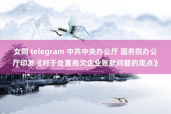 女同 telegram 中共中央办公厅 国务院办公厅印发《对于处置拖欠企业账款问题的观点》