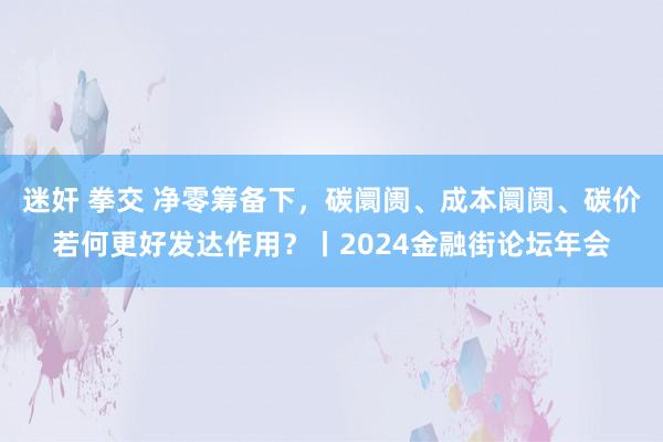 迷奸 拳交 净零筹备下，碳阛阓、成本阛阓、碳价若何更好发达作用？丨2024金融街论坛年会