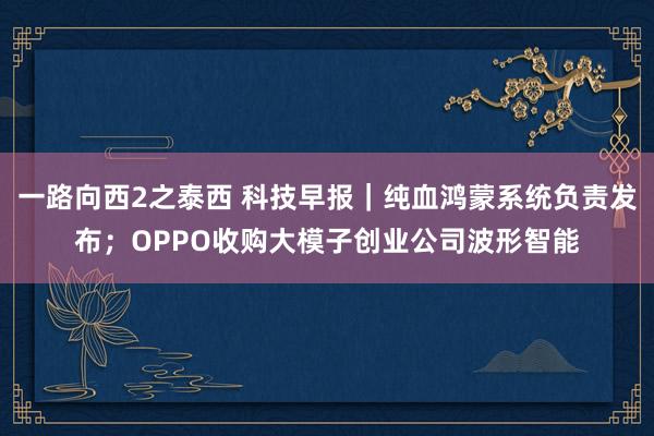 一路向西2之泰西 科技早报｜纯血鸿蒙系统负责发布；OPPO收购大模子创业公司波形智能