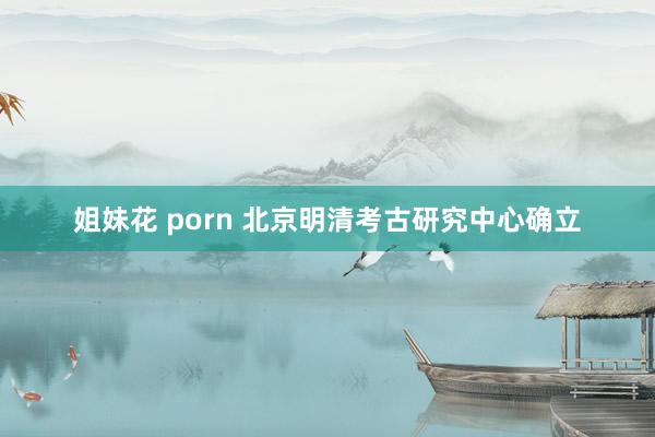 姐妹花 porn 北京明清考古研究中心确立