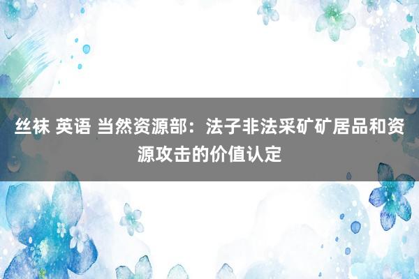 丝袜 英语 当然资源部：法子非法采矿矿居品和资源攻击的价值认定