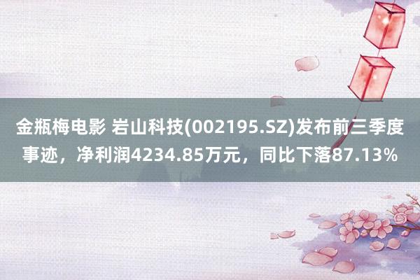 金瓶梅电影 岩山科技(002195.SZ)发布前三季度事迹，净利润4234.85万元，同比下落87.13%