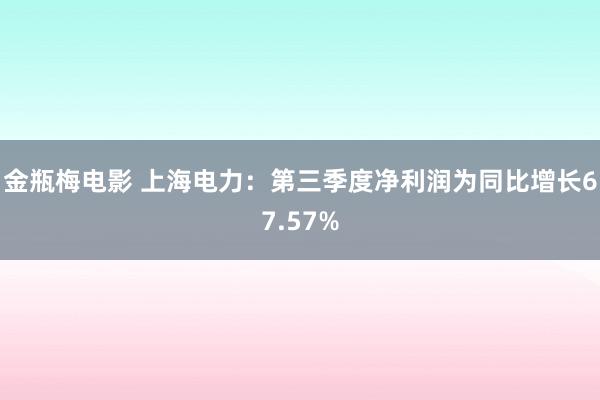 金瓶梅电影 上海电力：第三季度净利润为同比增长67.57%