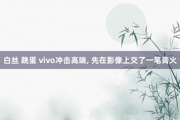 白丝 跳蛋 vivo冲击高端， 先在影像上交了一笔膏火