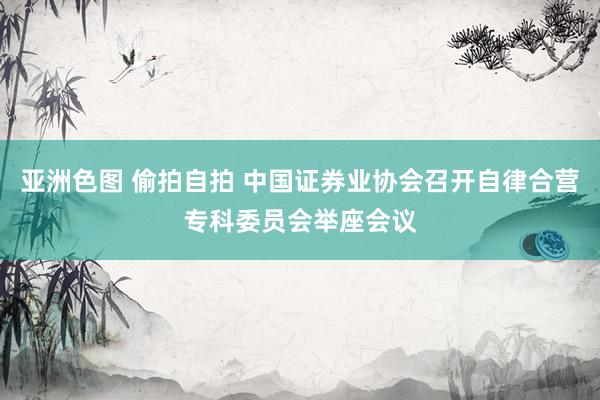 亚洲色图 偷拍自拍 中国证券业协会召开自律合营专科委员会举座会议