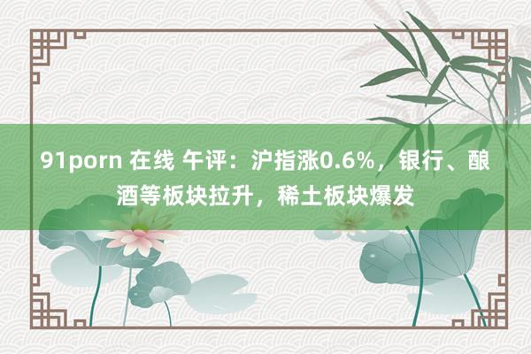 91porn 在线 午评：沪指涨0.6%，银行、酿酒等板块拉升，稀土板块爆发