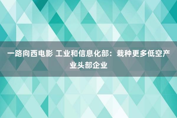 一路向西电影 工业和信息化部：栽种更多低空产业头部企业