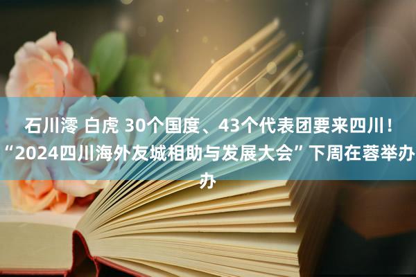 石川澪 白虎 30个国度、43个代表团要来四川！“2024四川海外友城相助与发展大会”下周在蓉举办