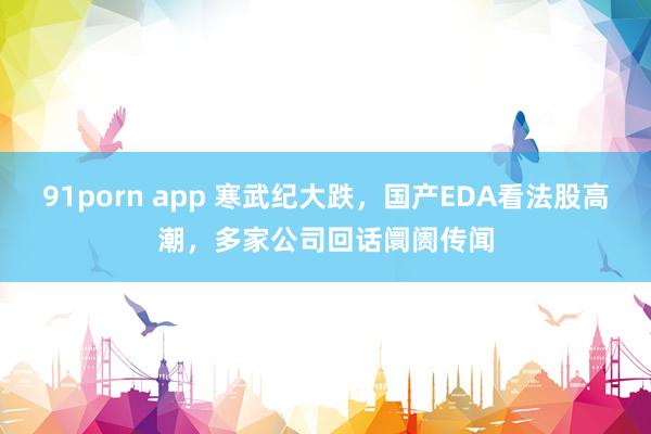 91porn app 寒武纪大跌，国产EDA看法股高潮，多家公司回话阛阓传闻