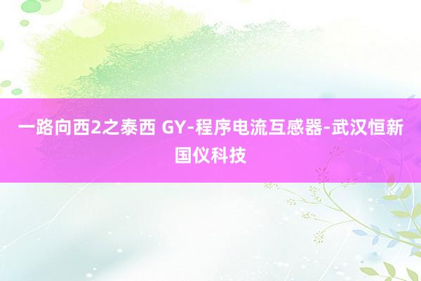 一路向西2之泰西 GY-程序电流互感器-武汉恒新国仪科技