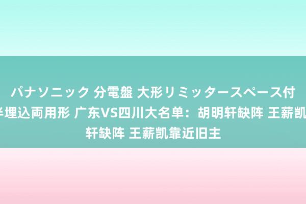 パナソニック 分電盤 大形リミッタースペース付 露出・半埋込両用形 广东VS四川大名单：胡明轩缺阵 王薪凯靠近旧主