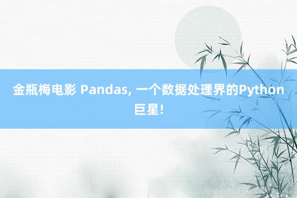 金瓶梅电影 Pandas, 一个数据处理界的Python巨星!