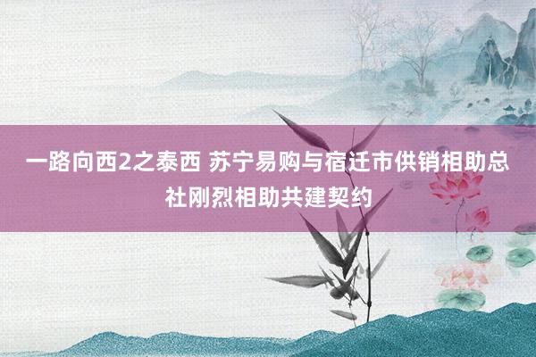 一路向西2之泰西 苏宁易购与宿迁市供销相助总社刚烈相助共建契约