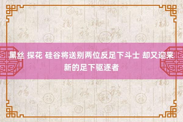 黑丝 探花 硅谷将送别两位反足下斗士 却又迎来新的足下驱逐者