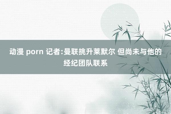 动漫 porn 记者:曼联挑升莱默尔 但尚未与他的经纪团队联系