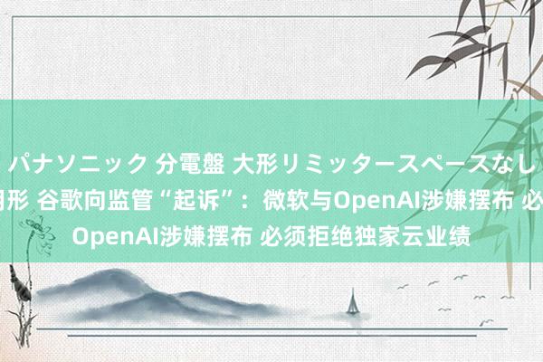 パナソニック 分電盤 大形リミッタースペースなし 露出・半埋込両用形 谷歌向监管“起诉”：微软与OpenAI涉嫌摆布 必须拒绝独家云业绩