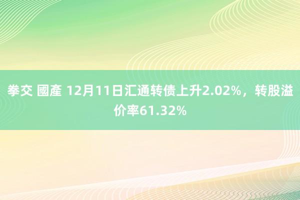 拳交 國產 12月11日汇通转债上升2.02%，转股溢价率61.32%